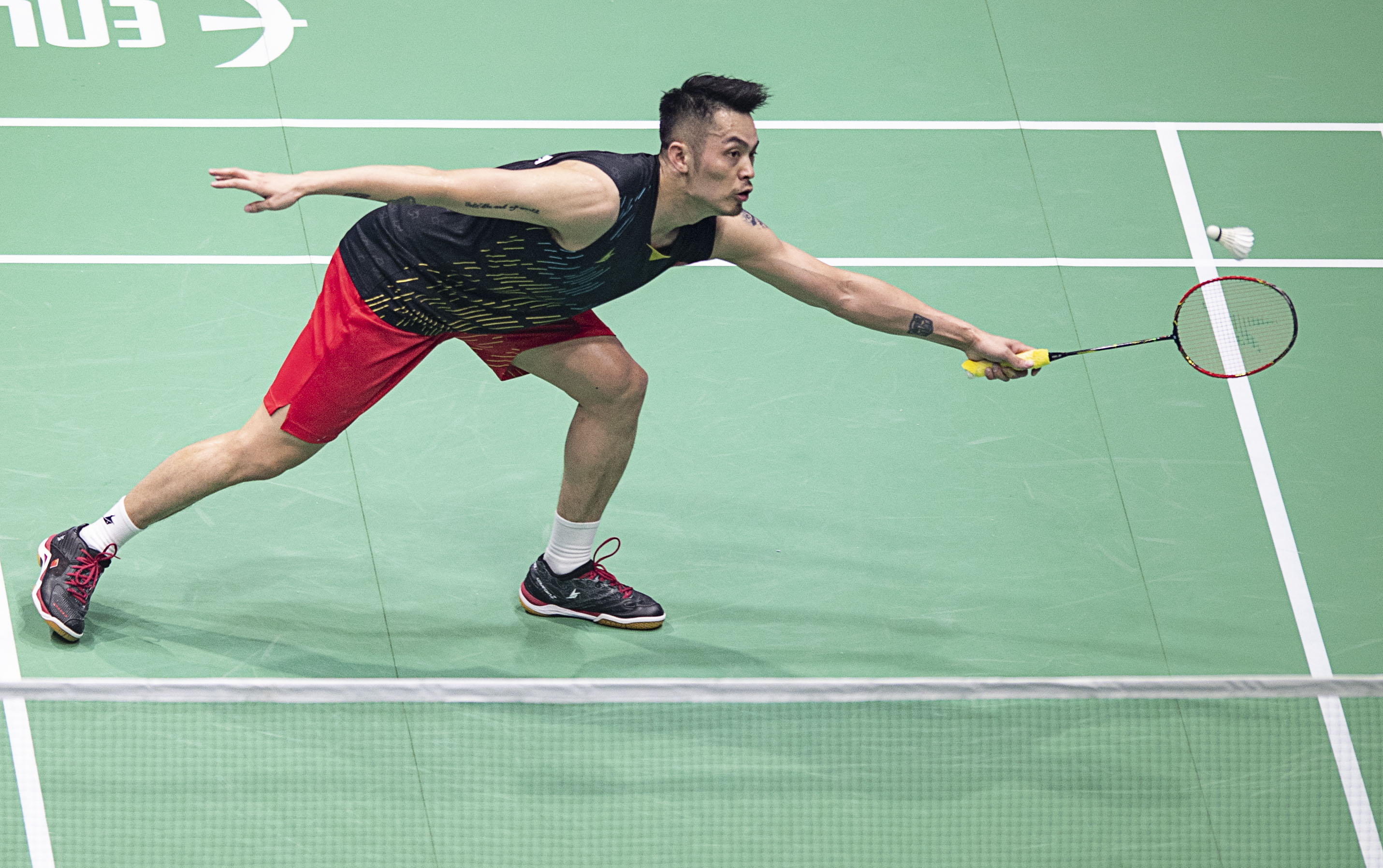 仅揭示了她 仅揭示了她