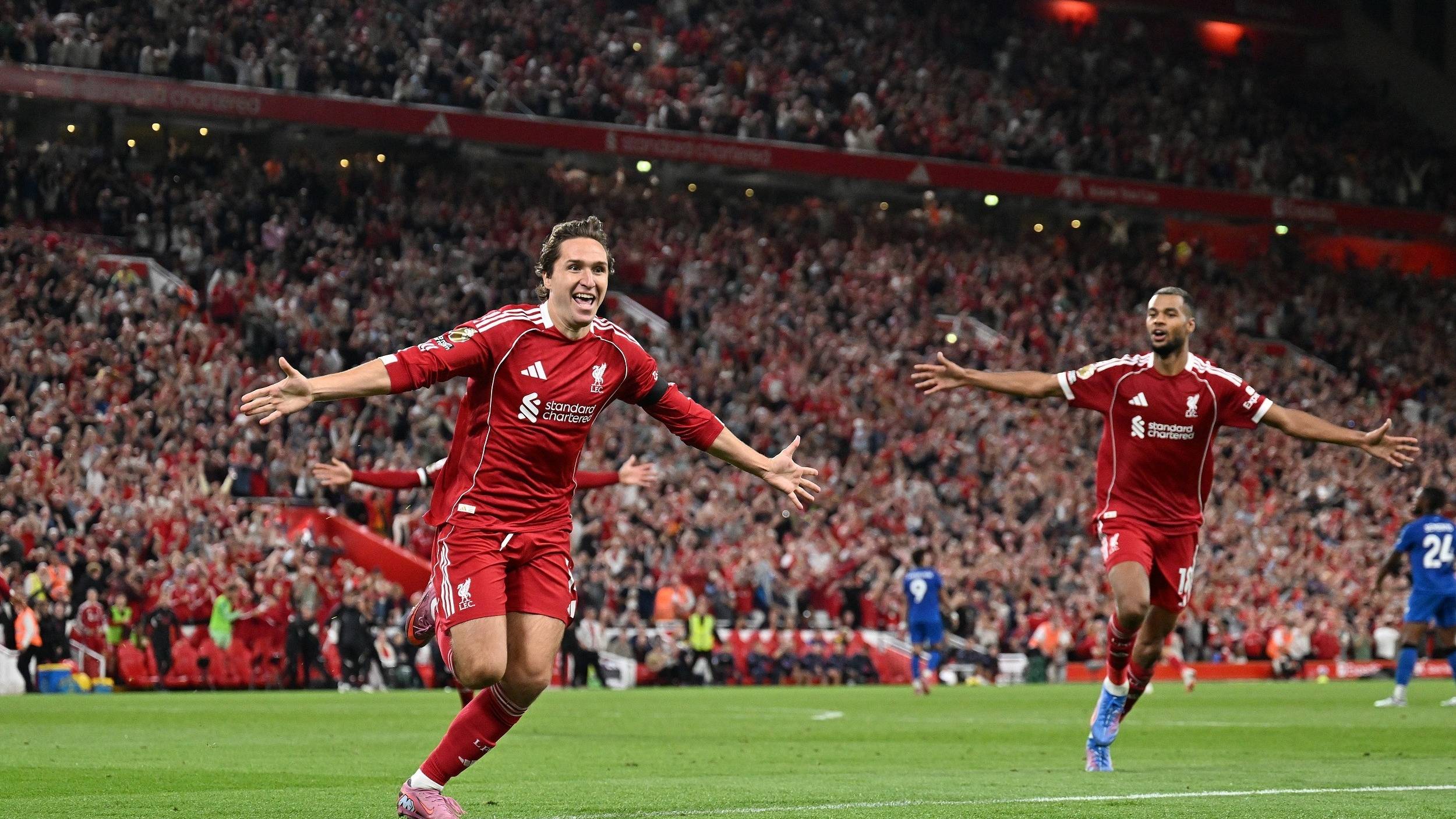 我可以帮你 我可以帮你