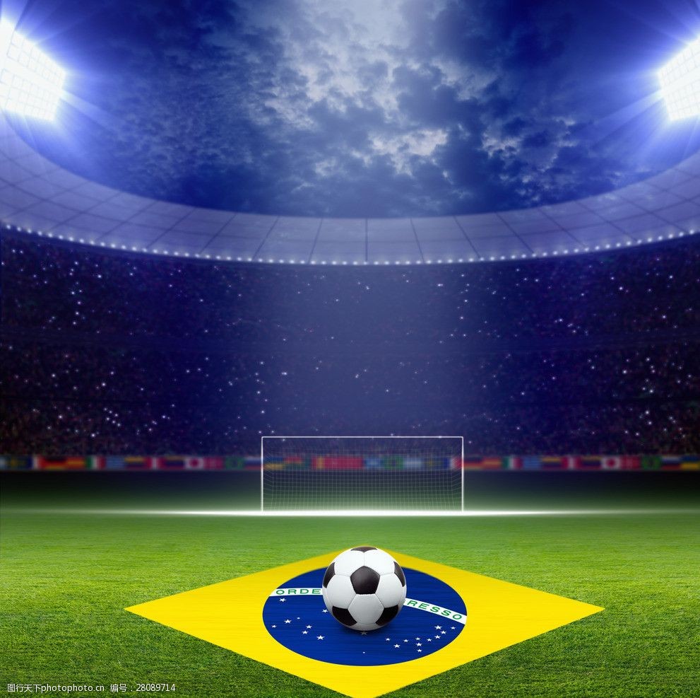 他们不仅是 他们不仅是