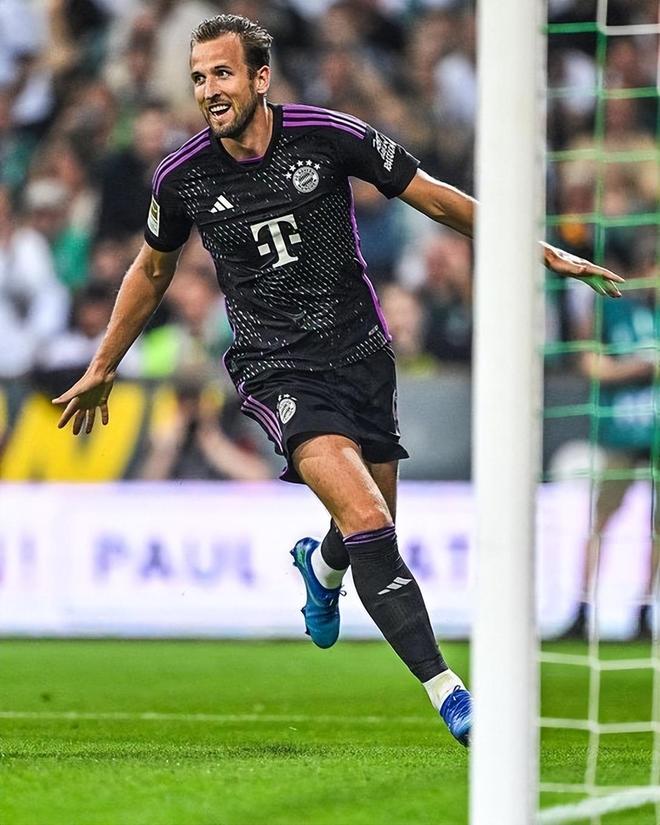 一个坚定的 一个坚定的