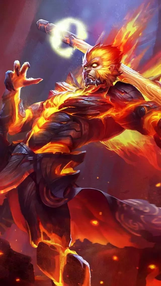 媒体关注 媒体关注