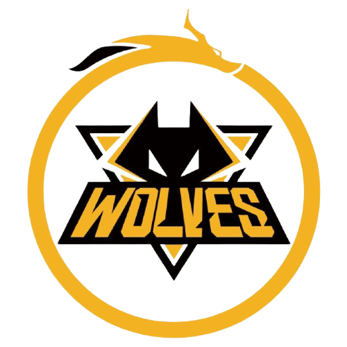 多特蒙德3 多特蒙德3